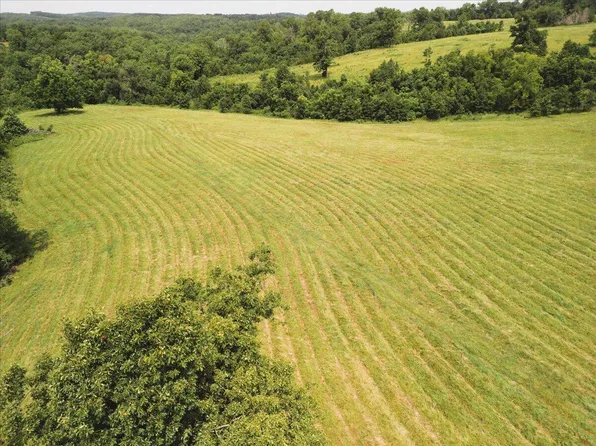000 County Road 184, Dora, MO 65637