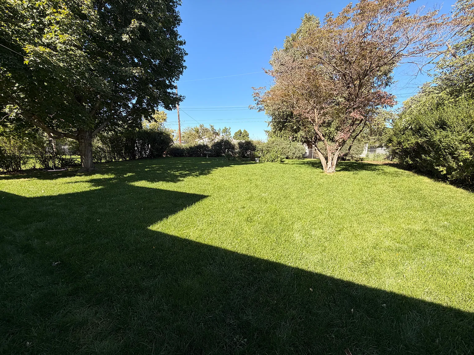 3 bed, 1344 sqft, $2,150 — Photo 2