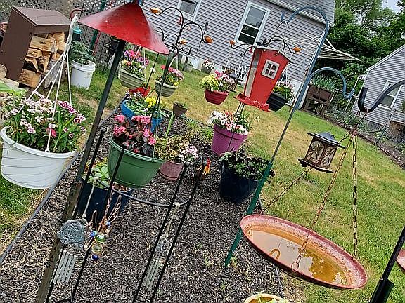 established bird island