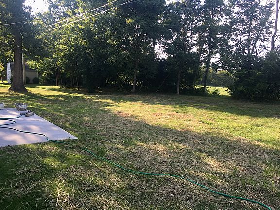 Open back yard