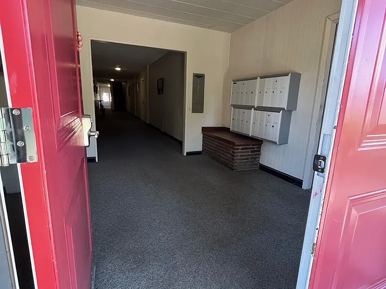 Elaine Apartments — Photo 30