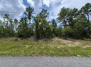6657 N Waterman Dr, Citrus Springs, FL 34433
