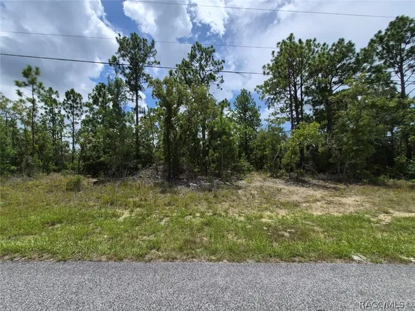 6657 N Waterman Dr, Citrus Springs, FL 34433