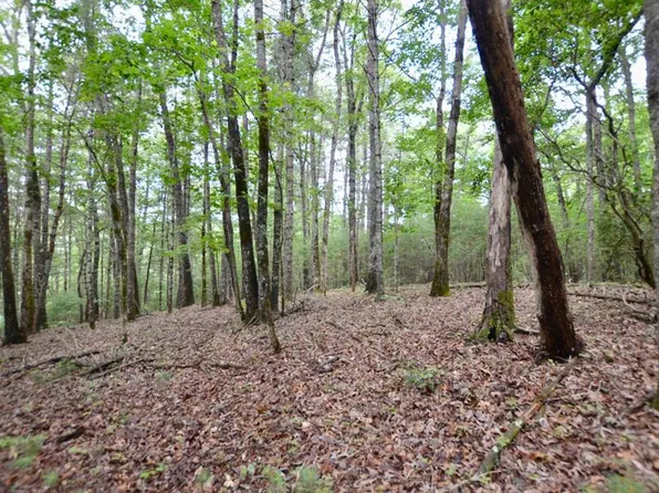 LOT 12 Hi River Rd, Hiawassee, GA 30546