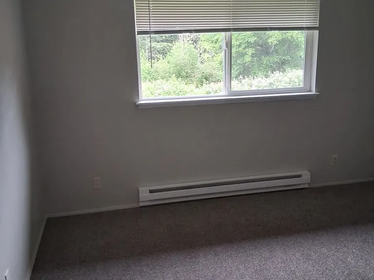 Rainier Vista — Photo 20