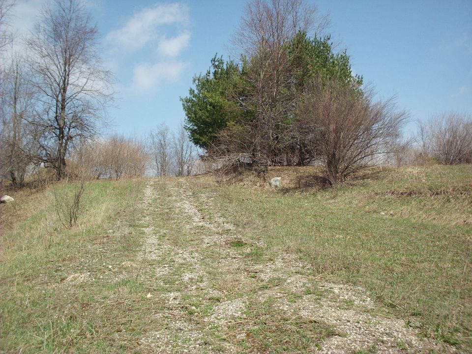 2nd image of W Adams Rd