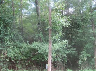 102 Mayan Dr #2235, Louisburg, NC 27549