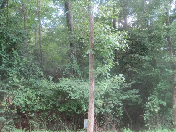 102 Mayan Dr #2235, Louisburg, NC 27549