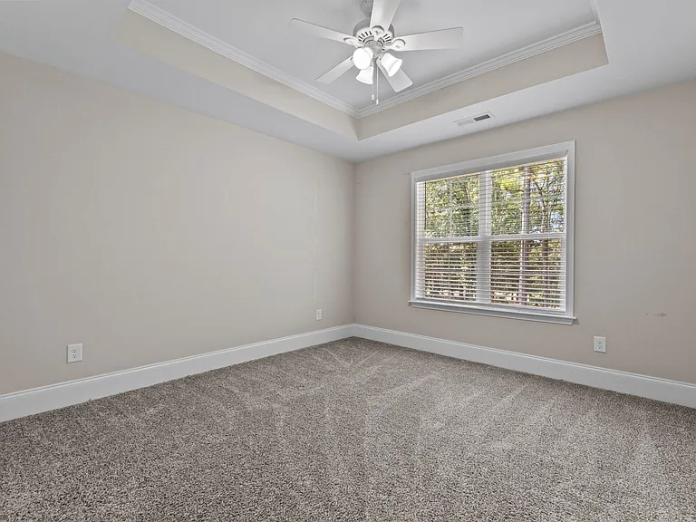 The fourth bedroom (trey ceiling)