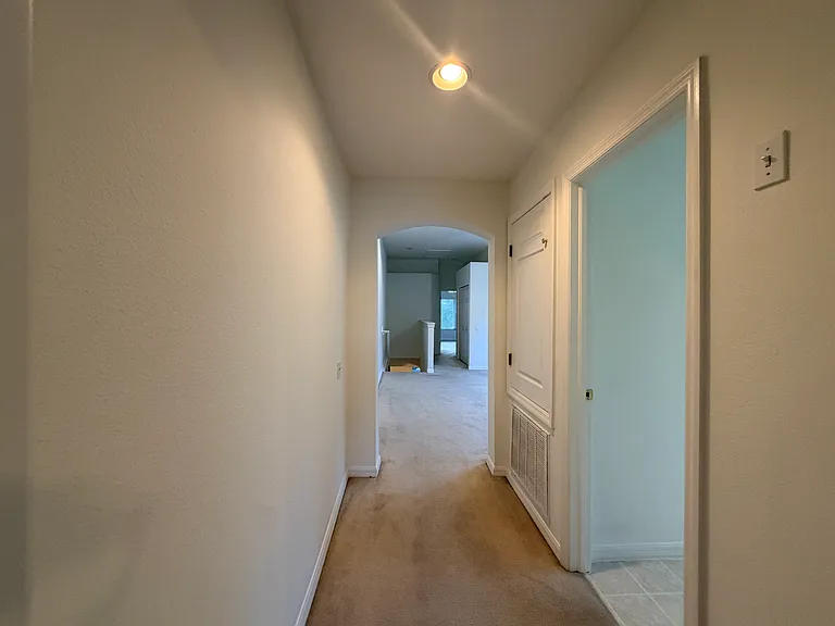 4212 Bismarck Palm Dr — Photo 13