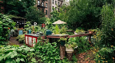 Rented by The Agency