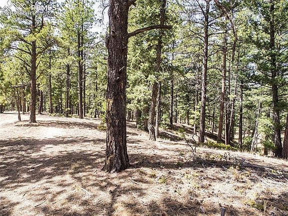 4th image of 951 Spacious Skies Dr