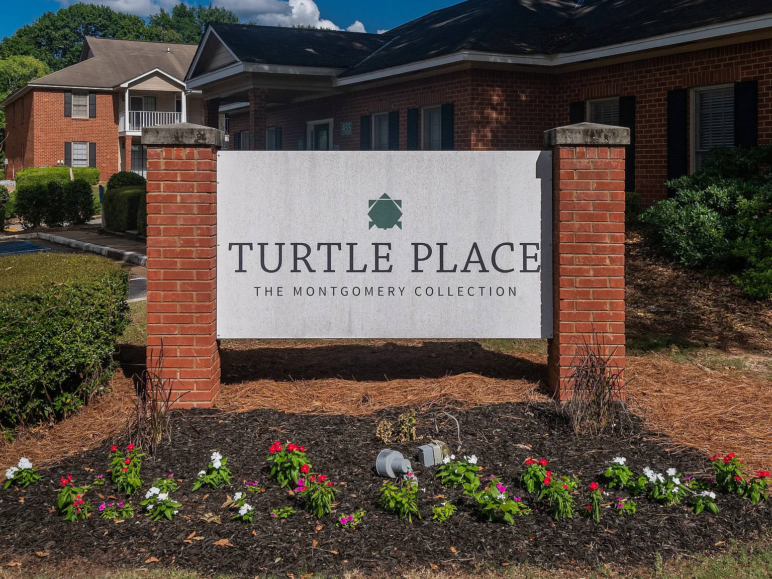 Turtle Place — Photo 1
