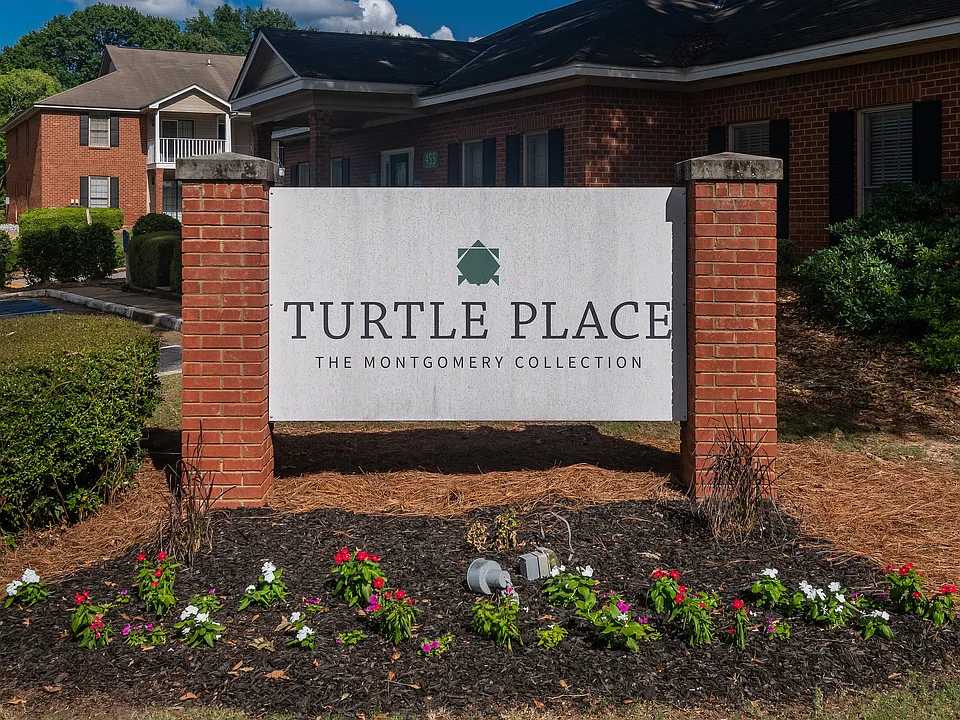 Turtle Place