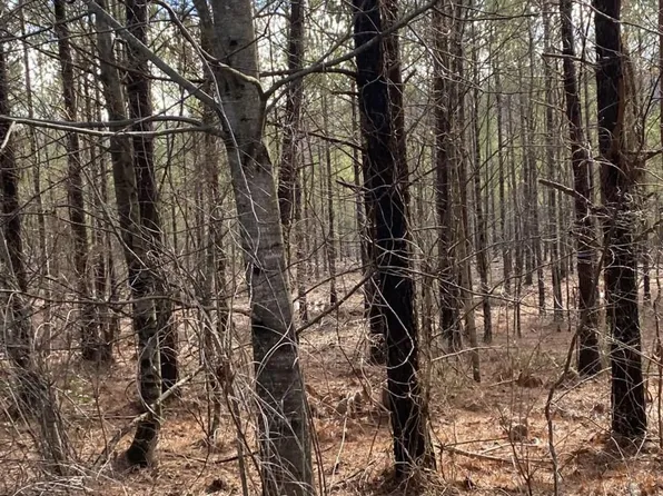 2 Thomas Springs Rd, Crossville, TN 38572