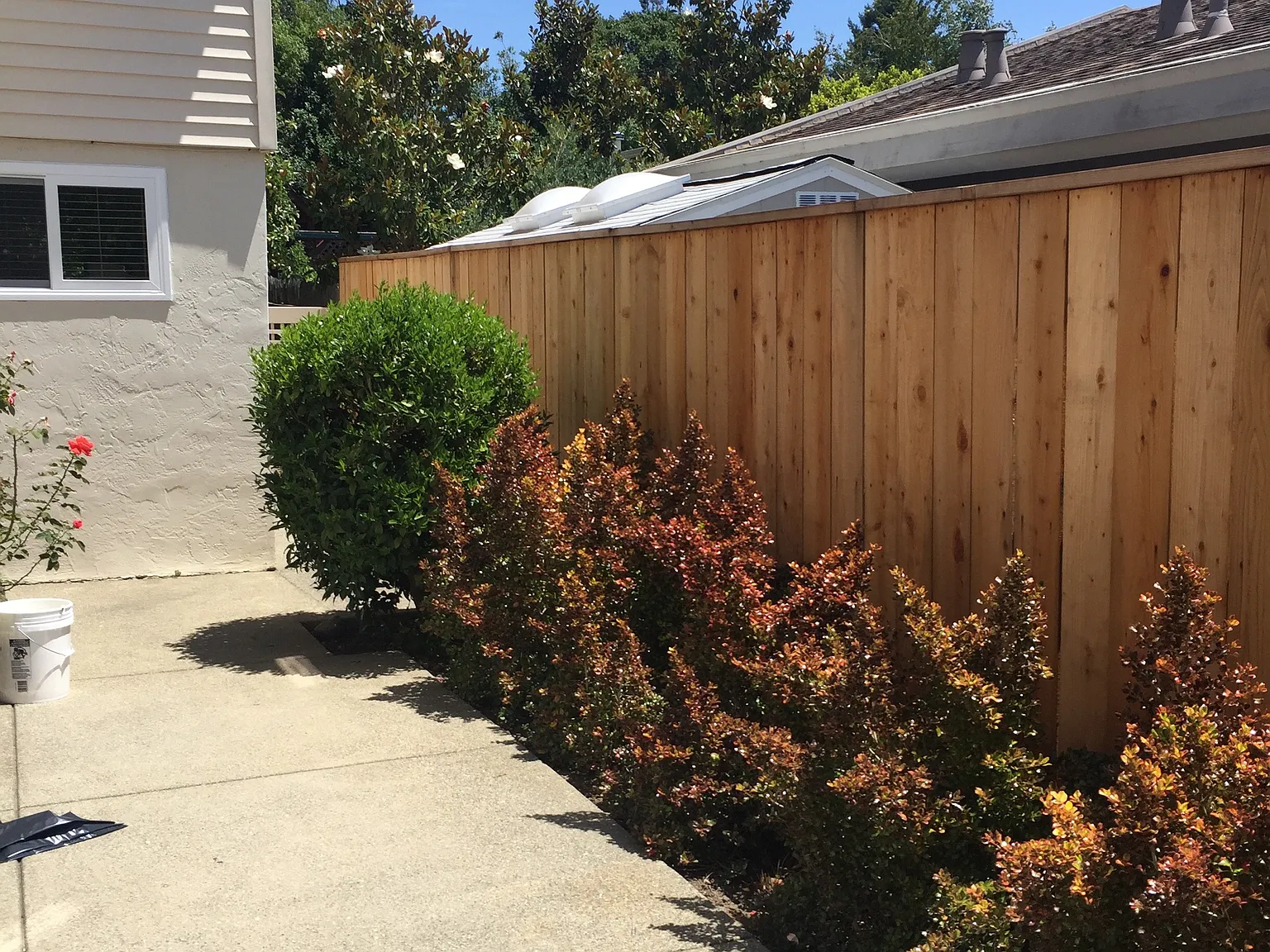 2 bed, $3,800 — Photo 3