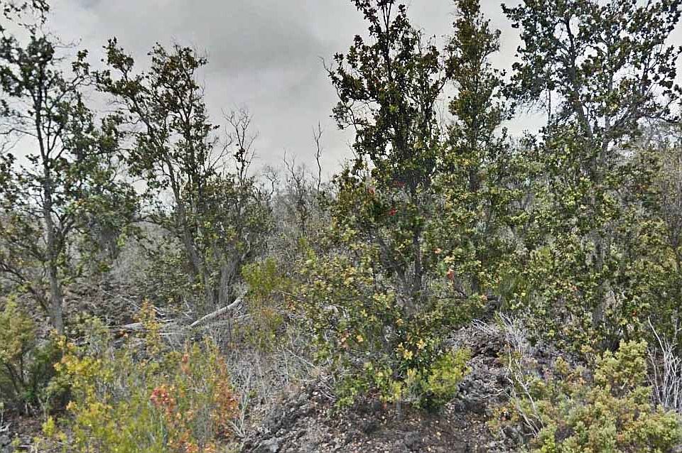 1st image of Tiki Lane Lot 28