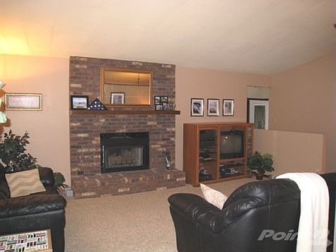 Great Room fireplace