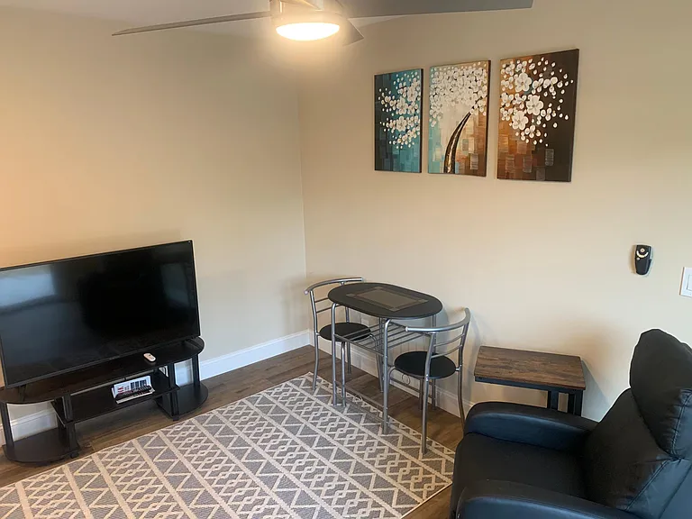 50" Flat Screen TV with Google Chromecast