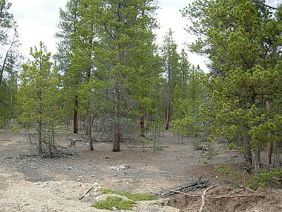 3rd image of 475 Juniper Dr