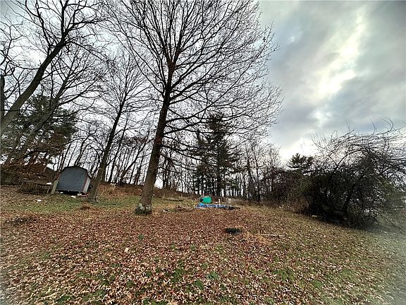 5th image of 572 Alberts Dr