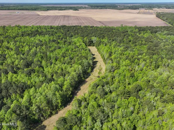 Tract #13 N Trent Road, Merritt, NC 28556