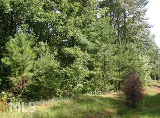 10 Alte Bruecke Strasse, Helen, GA 30545