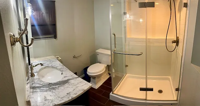 Lower level bathroom