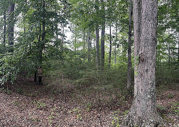 4th image of LOT 84 Stillwater Blvd
