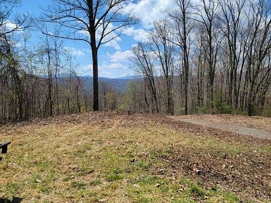 16 Mays Ridge Off Heaton Branch Rd, Butler, TN 37640 | Zillow