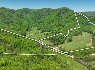 1619 Squirrel Creek Rd, Ararat, VA 24053