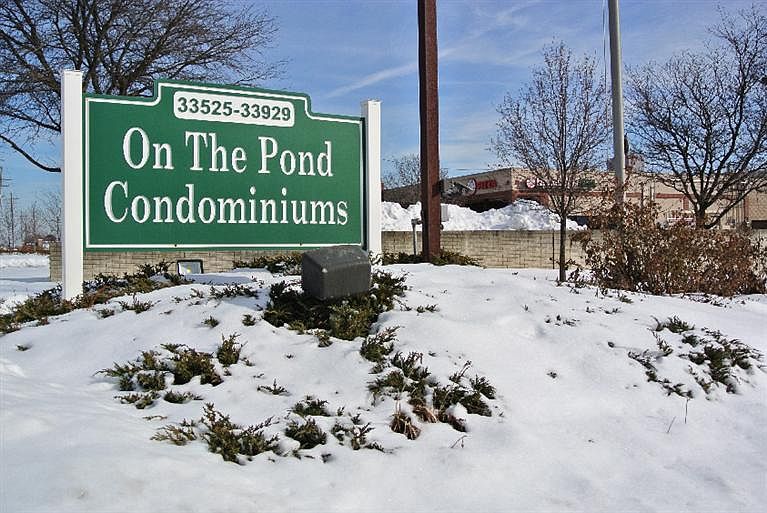 2nd image of 33925 Pondview Cir #5