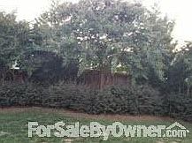 Private Back Yard
						:
						Landscaping already done! Privacy fence; mature trees for added privacy