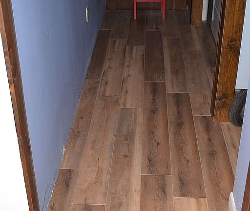5th image of 733 Galen Dr