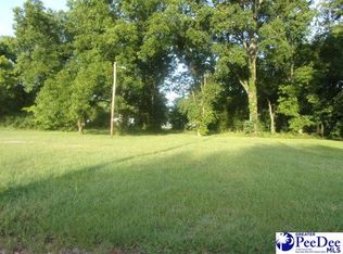 1357 Fisherman Rd, Lamar, SC 29069