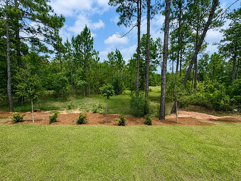 107 Holley Grove Ln — Photo 9