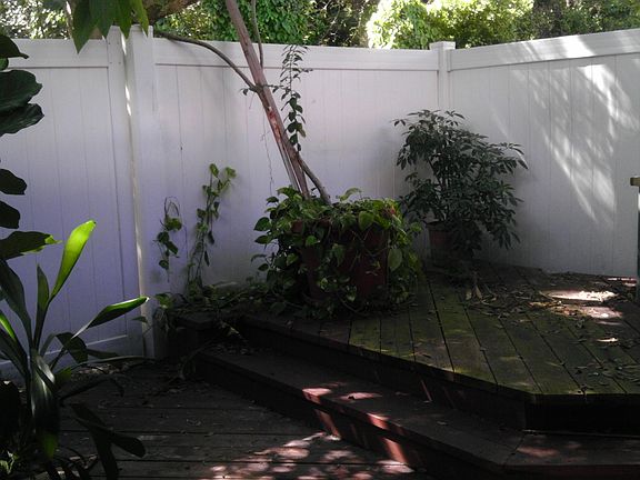 wooden deck backyard