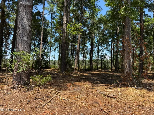 4102 Near Swamp Fld Lot 6, Tabor City, NC 28463