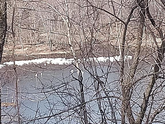 5th image of N4568 County Rd N