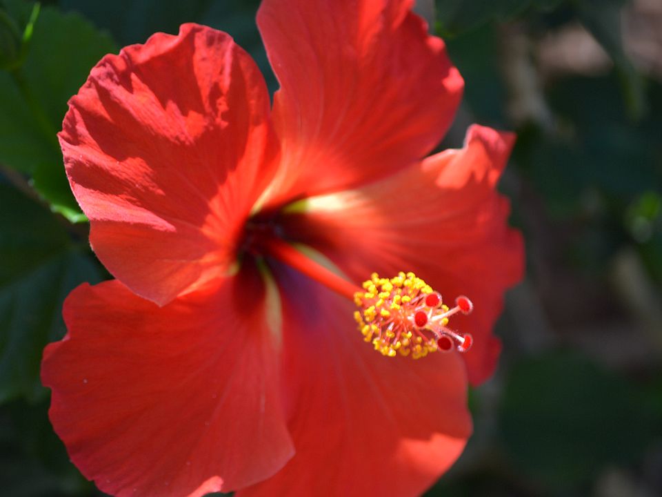 A tropical paradise