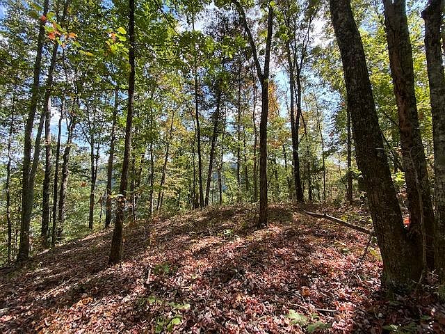 1st image of LOT 13 Scots Point