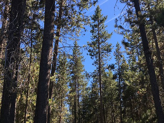 Large buildable area