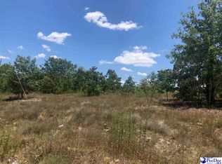 156 Hilltop Ln, Hartsville, SC 29550