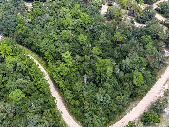 2nd image of 00 LIVE OAK Drive