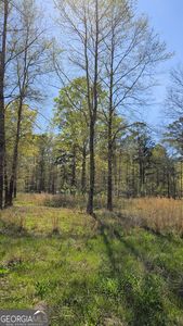 0 Bayside Dr, Greensboro, GA, 30642