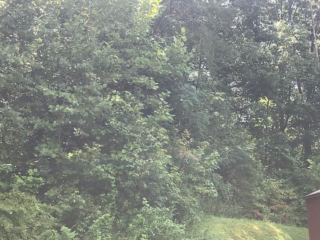 2nd image of Roane St