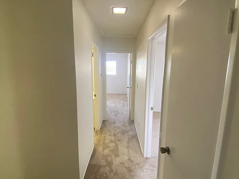 4319 Collwood Ln — Photo 8