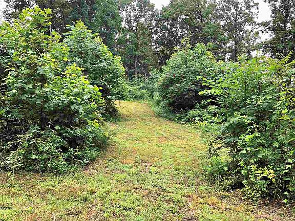 3rd image of 0 Blackberry Ln
