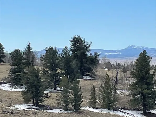 148 Grand Teton Drive, Hartsel, CO 80449