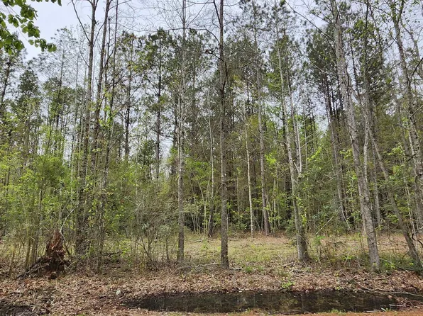 LOT Jessie Sibley Rd #C, Walker, LA 70785